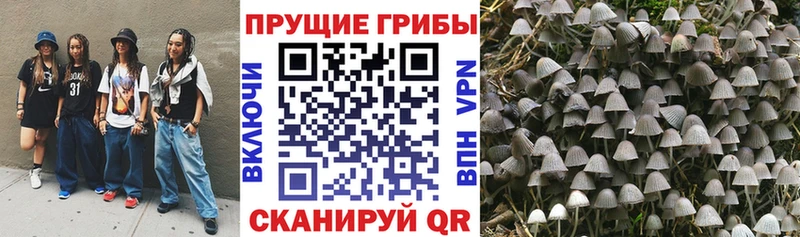 Псилоцибиновые грибы MAGIC MUSHROOMS  где купить наркотик  Югорск 